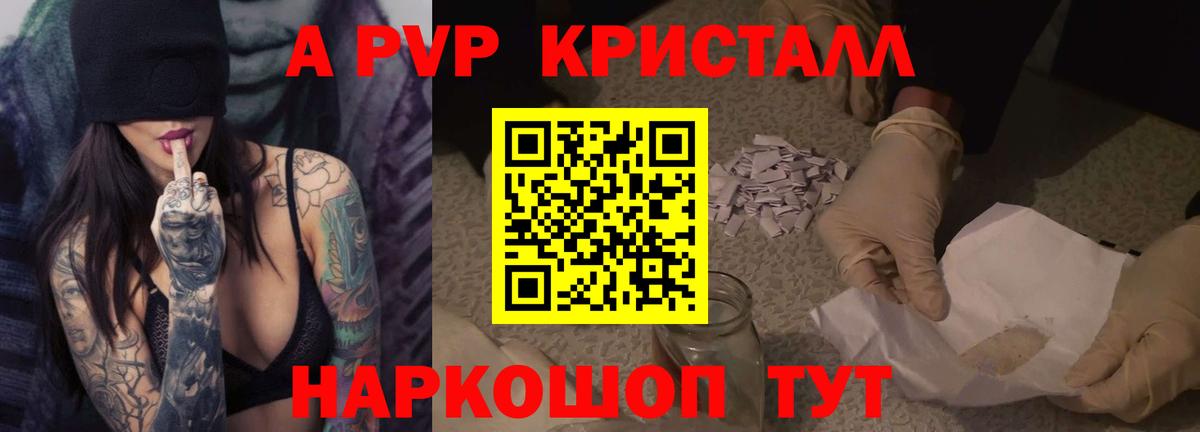 A-PVP СК КРИС Назрань