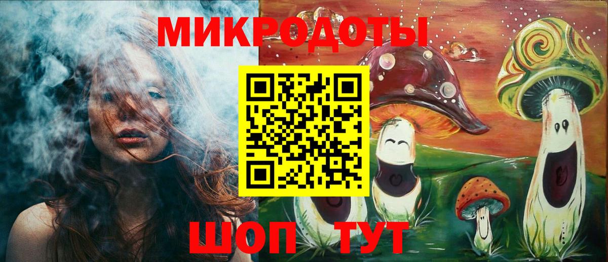 где найти   Вход с VPN  Назрань  Псилоцибиновые грибы Psilocybine cubensis 